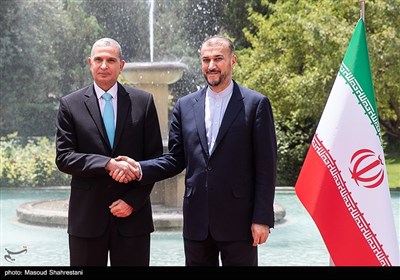 امیرعبداللهیان وزیر امور خارجه و عثمان الغانمی وزیر کشور عراق