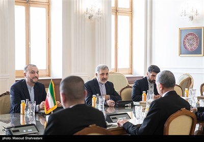 علیرضا عنایتی و امیرعبداللهیان وزیر امور خارجه