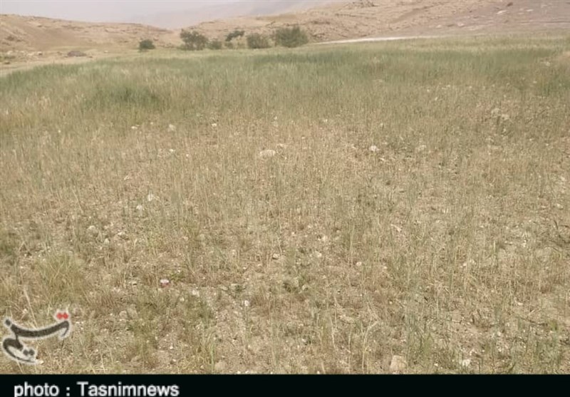 بالا بردن بهره&zwnj;وری از آب در پیشوا در دستور کار قرار گیرد