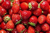 تولید سالانه ۲۳۹ تن توت فرنگی گلخانه‌ای در آذربایجان‌غربی