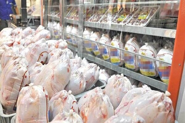 مرغ نیمایی ۱۰ روز دیگر به بازار میآید مرغ نیمایی ۱۰ روز دیگر به بازار میآید