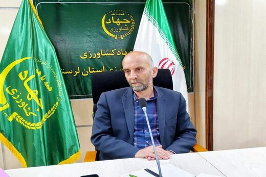 خسارت بیش از ۱۱ هزار میلیارد تومانی حوزه کشاورزی و دامپروری لرستان بر اثر خشکسالی&nbsp;