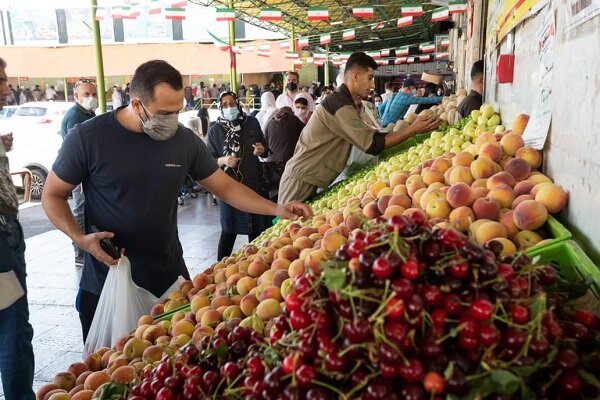 قیمت‌ میوه و تره‌بار امروز یکشنبه دوازدهم تیرماه ۱۴۰۱