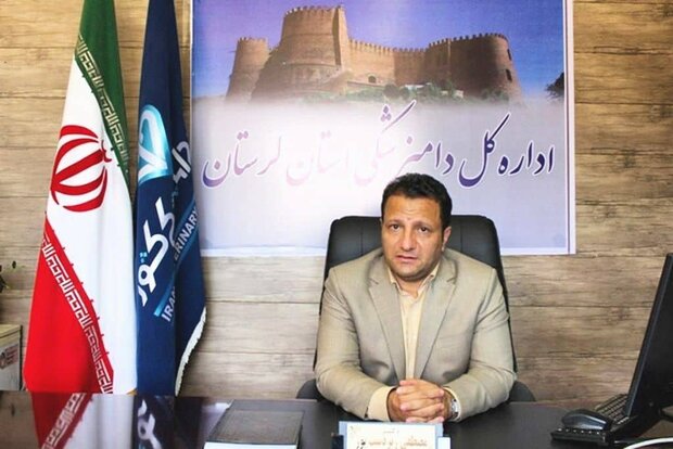 نظارت ۲۷ اکیپ ثابت و سیار بر ذبح دام‌های عید قربان در لرستان