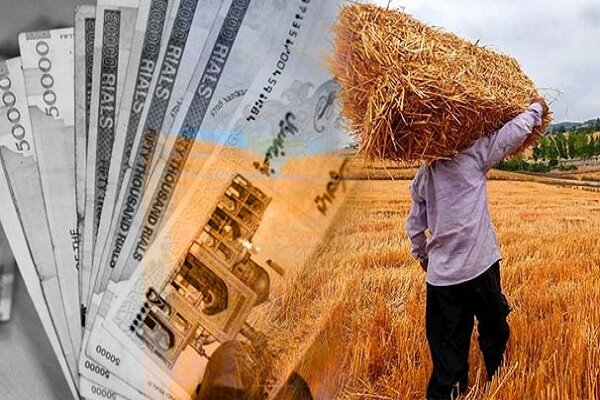 ۹۰ درصد از مطالبات گندمکاران در استان تهران پرداخت شده است