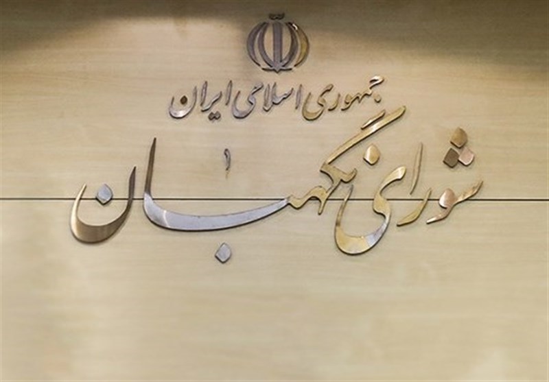 ۷ هزار و ۶۰۰ ناظر شورای نگهبان در استان خراسان جنوبی فعالیت دارند