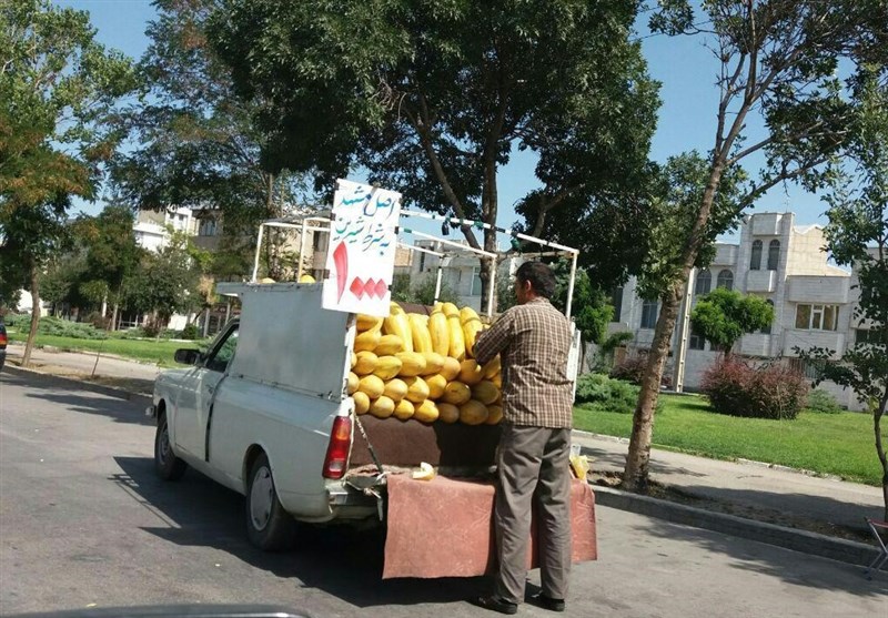 دستگاه قضا وانتبارهای مزاحم در سنندج را جمعآوری کرد دستگاه قضا وانتبارهای مزاحم در سنندج را جمعآوری کرد