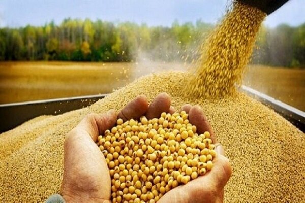 درخواست نماینده مجلس از بانک مرکزی برای حل مشکلات واردکنندگان