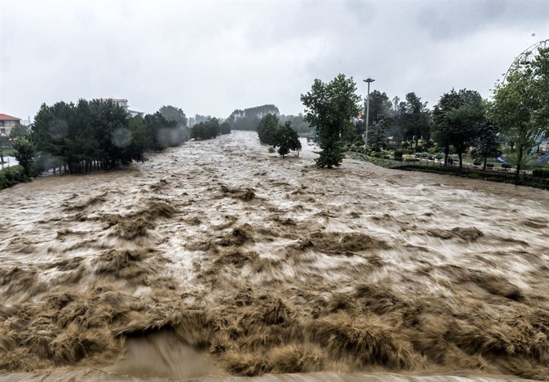 مونسون ۱۳۶ هزار تن محصول خرمای بلوچستان را از بین برد