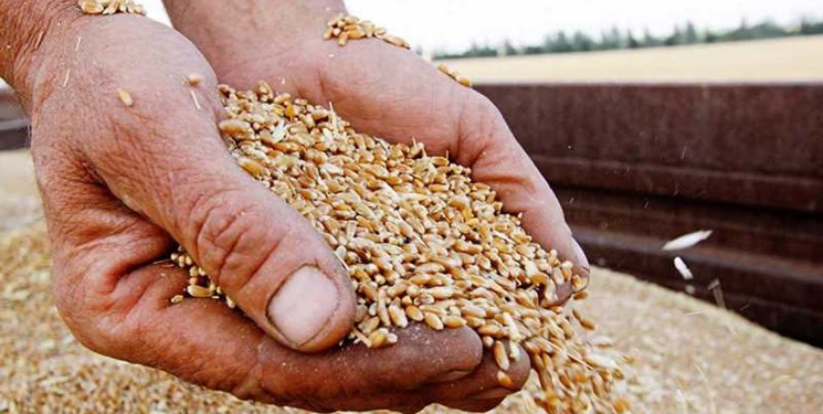 5 اقدام&zwnj; دولت برای افزایش تولید محصولات اساسی/ خرید تضمینی گندم&zwnj; 3 میلیون تن افزایش یافت