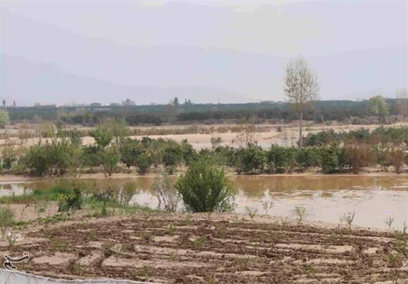 طوفان و بارشهای اخیر۳۲۰ میلیارد ریال خسارت به بخش کشاورزی قم وارد کرد طوفان و بارشهای اخیر۳۲۰ میلیارد ریال خسارت به بخش کشاورزی قم وارد کرد