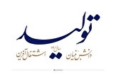 ۳۰ درصد هدف‌گذاری اشتغال استان گیلان محقق شد