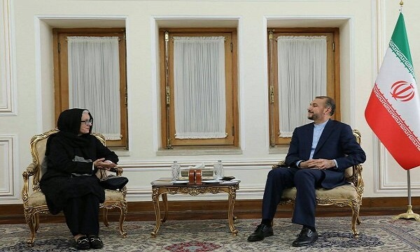 سند ۲۰۳۰ هویت و واقعیات فرهنگی کشور‌ها را نادیده گرفته است/ ایران بر اساس قوانین داخلی خود به این سند نگاه می‌کند