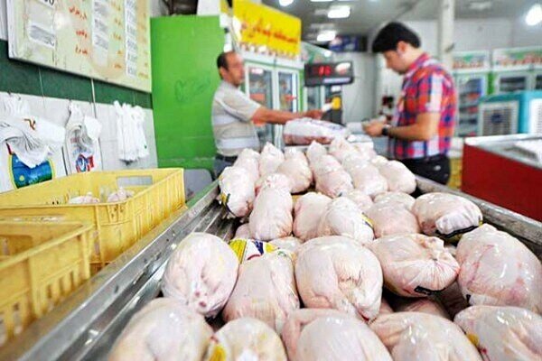 خروج مرغ زنده و لاشه از استان قزوین ممنوع است