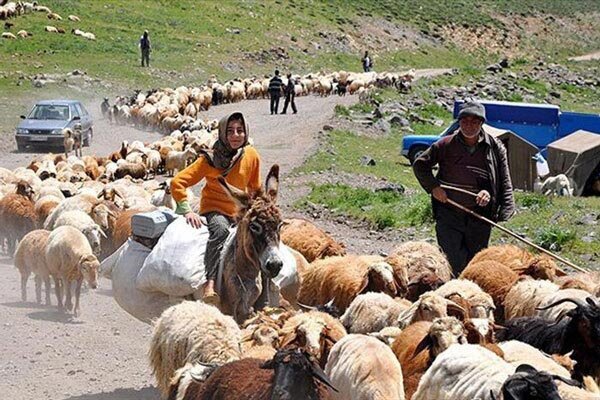 ارزش تولیدات عشایر ایلام سالانه ۳ هزار میلیارد تومان است ارزش تولیدات عشایر ایلام سالانه ۳ هزار میلیارد تومان است