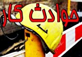 مرگ ۱۱ نفر در حوادث ناشی از کار در استان لرستان
