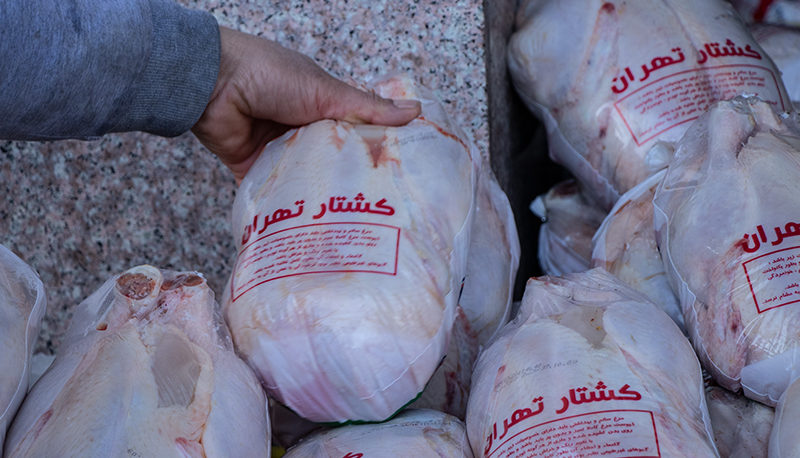 قیمت مرغ امروز 8 آبان 1401/ مرغ منجمد 45هزار تومان
