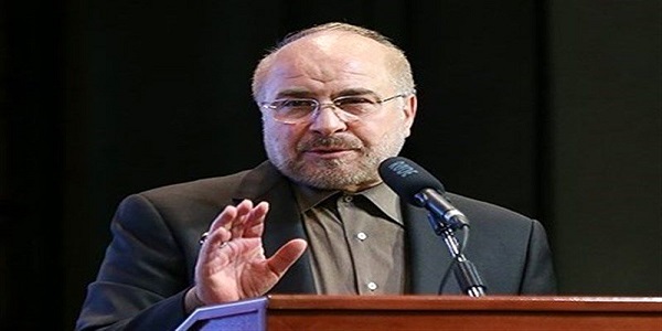 ارتباطم با آموزش و پرورش و دانشگاه قطع نشده است