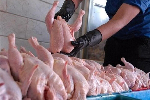 افزایش ۲ برابری تقاضای مرغ در میادین و بازار‌های تهران