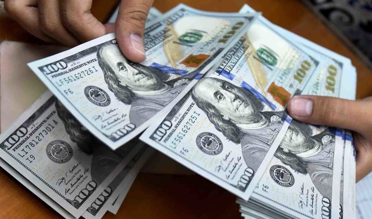 قیمت دلار کاهشی می‌شود؟ / «آقایان سرنا را از سر گشادش نزنند!»