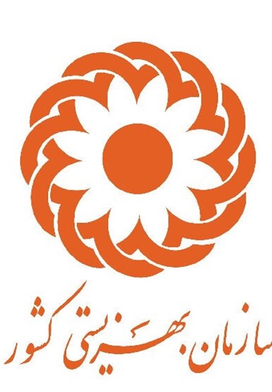 همکاری ۳۱۱ مرکز و موسسه خیریه با بهزیستی خراسان جنوبی