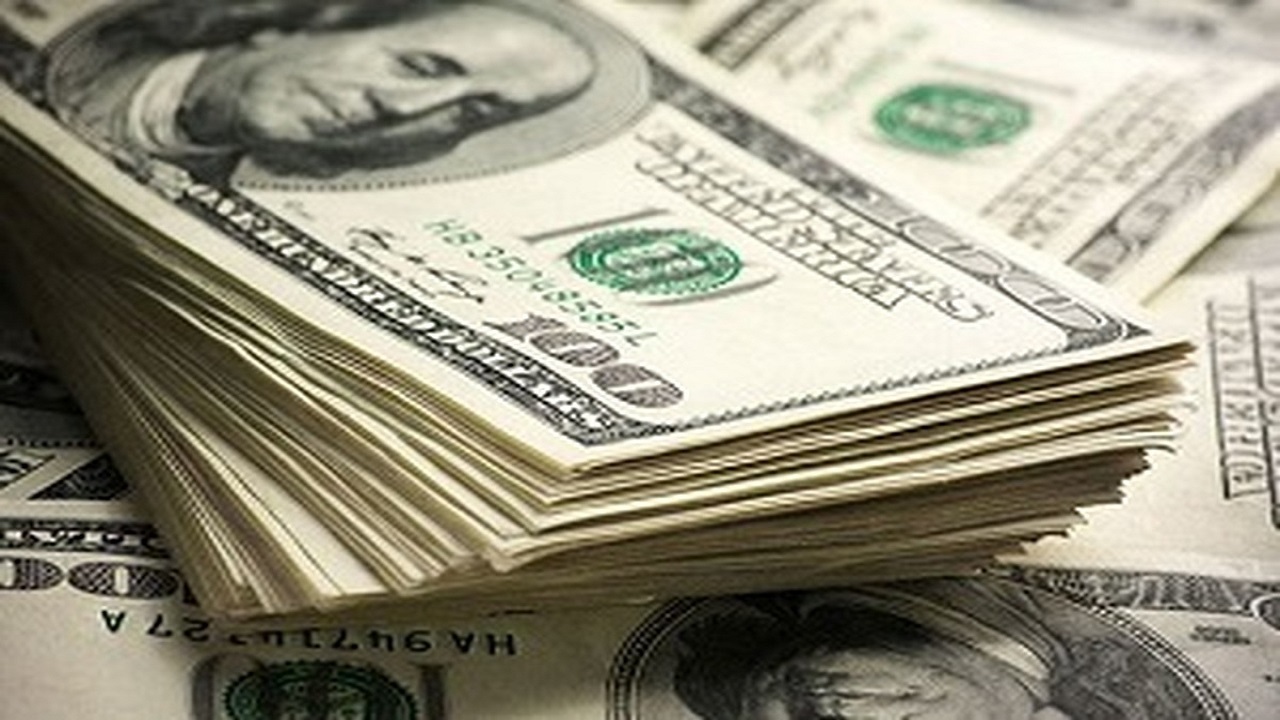 دلار از سبد ارز‌های مسافرتی به کشور‌های همسایه حذف می‌شود