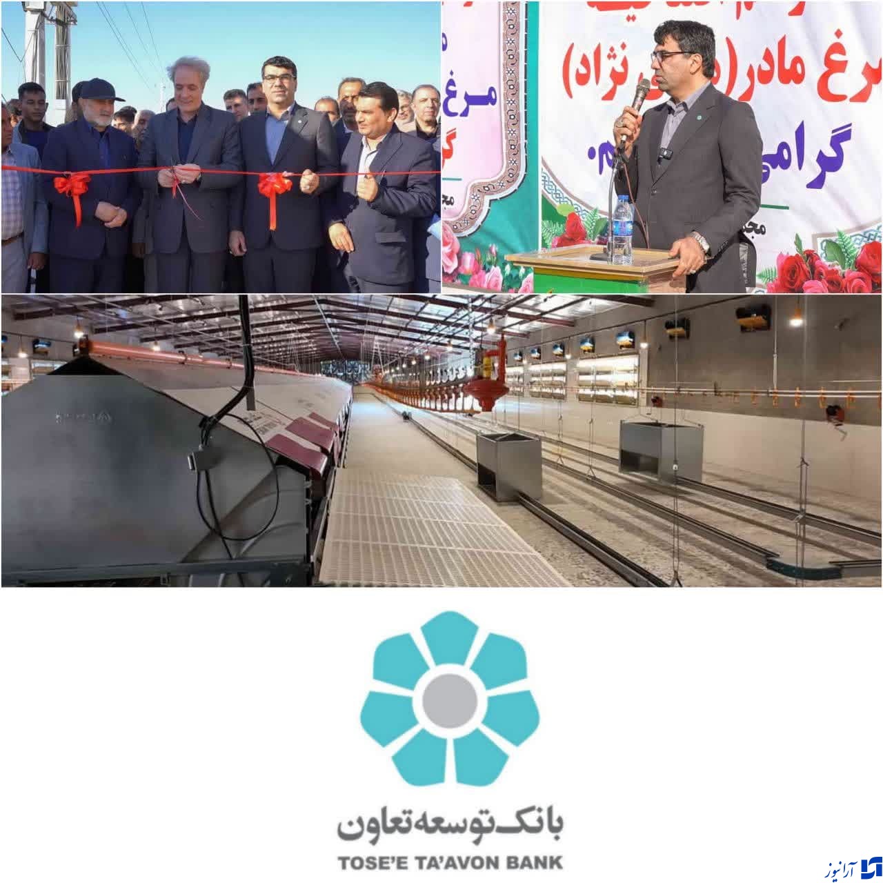 بانک توسعه تعاون در کنار مردم ولایتمدار بوشهر/موفقیت بانک توسعه تعاون در راستای تحقق اهداف دولت/شیخ حسینی مدیرعامل بانک توسعه تعاون: آمیزه ای از سرعت و کیفیت خدمات در افتتاح یکی از طرحهای مورد حمایت بانک توسعه تعاون