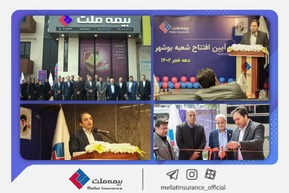 توسعه صنعت بیمه در جنوب کشور به همت بیمه ملت