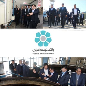 چتر حمایتی بانک توسعه تعاون بر سر تولید/مدیرعامل شرکت اکسیر الکل گدار: بانک توسعه تعاون در ارائه خدمات اعتباری بسیار سریع و موثر عمل می نماید
