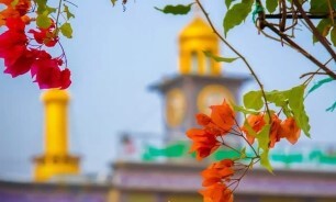 برنامه‌های حرم مطهر رضوی به مناسبت میلاد حضرت علی‌اکبر (ع)