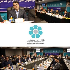 شرکت صرافی توسعه تعاون عملکردی جهشی داشته است