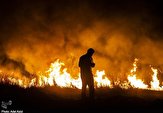 آتش ۱۱ هکتار مزرعه جو در قیروکارزین را خاکستر کرد
