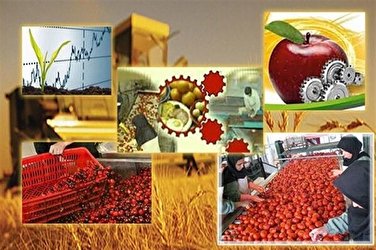 وجود ۱۸۰ واحد صنایع تبدیلی کشاورزی فعال در استان زنجان