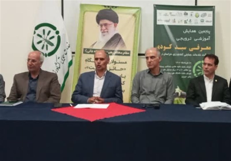 خسارت ۳۰ هزار میلیاردی سرما به کشاورزی خراسان رضوی خسارت ۳۰ هزار میلیاردی سرما به کشاورزی خراسان رضوی