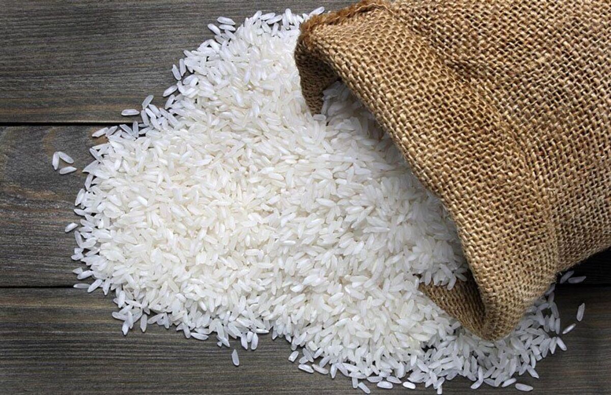 کوچ بورس به استان ها؛ پالایشگاه برنج در آرزوی سرمایه
