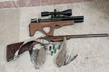 ۲۱۲ نفر در لرستان دستگیر شدند | کشف ۲۴ قبضه اسلحه از شکارچیان از ابتدای امسال