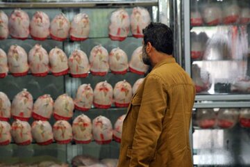 قیمت مرغ، صدای روزنامه اصولگرا را هم درآورد/ مدیریت ضعیف دولت ،هم صدای مصرف کننده را در آورده، هم صدای تولیدکننده را