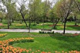 چالش جدی انشعابات غیرمجاز و آبیاری فضای سبز با آب شرب در لرستان