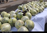 دستگیری ۱۱۰۰ نفر از سوداگران مرگ ‌در هرمزگان