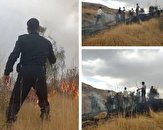 مهار آتش‌سوزی مزارع و منابع طبیعی الیگودرز توسط مأموران انتظامی