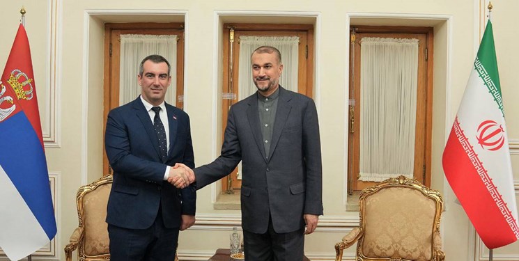 امیرعبداللهیان: نباید به بهانه آزادی بیان به مقدسات مسلمانان توهین شود
