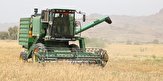 خرید تضمینی گندم در فارس به بیش از یک میلیون تن رسیده است