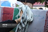 پیکرهای پاک ۲۳ شهید تازه تفحص شده وارد آذربایجان غربی می شود
