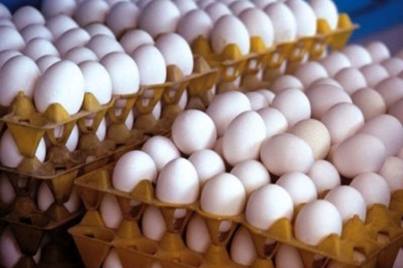 نرخ هرکیلو تخم‌مرغ برای مصرف کننده ۵۶ هزارتومان