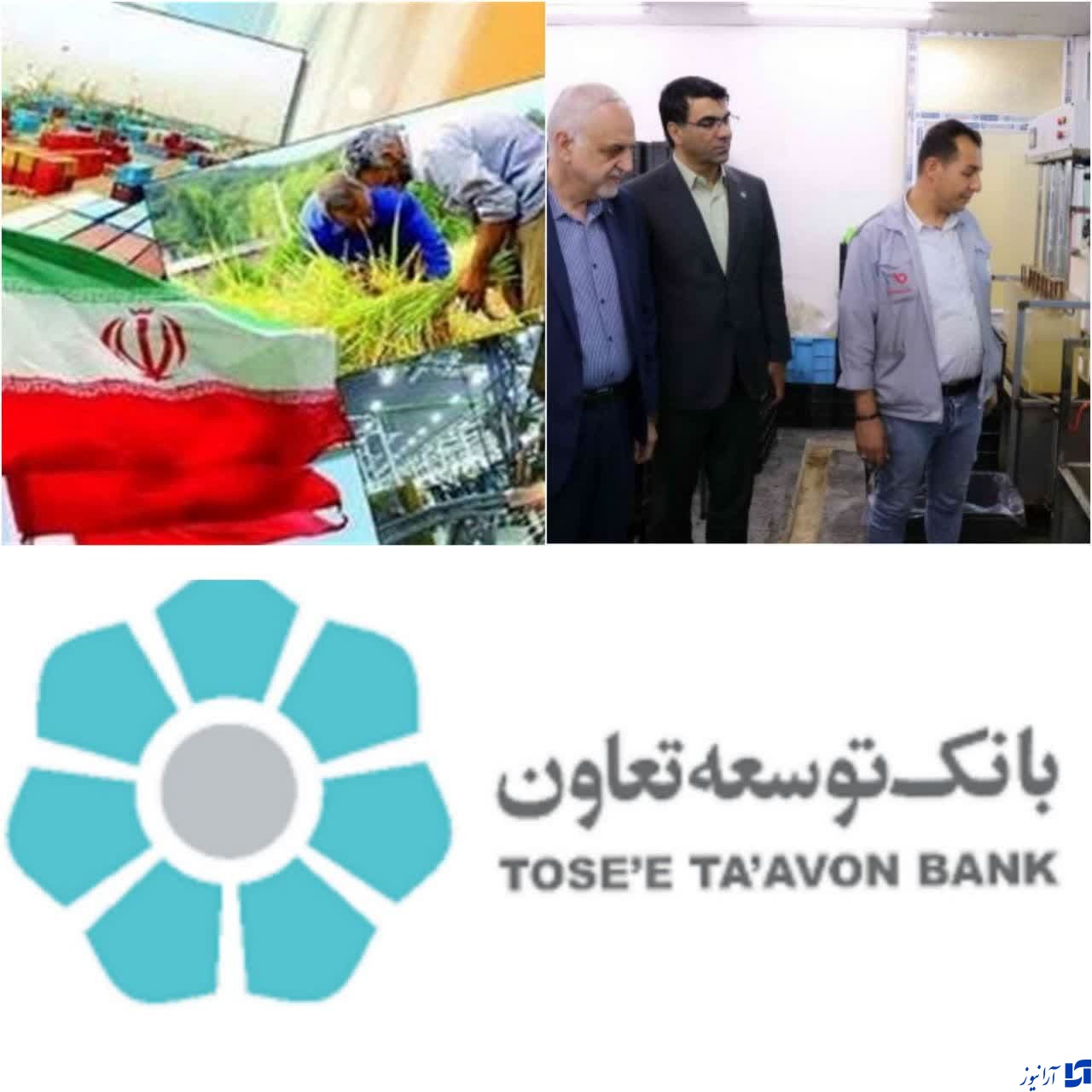 بهترین عملکرد در حوزه اشتغالزایی به نام بانک توسعه تعاون رقم خورد /حمایت از واحدهای تولیدی صنعتی در اولویت برنامه های حمایتی بانک توسعه تعاون در استان صنعتی البرز می باشد