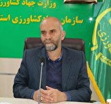 قرارگاه ویژه اشتغال فرصتی مناسب برای پروژه‌های بالای ۸۰ درصد