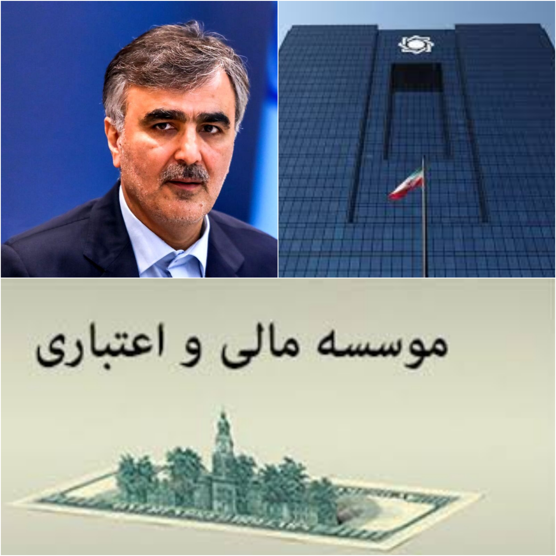 یک موسسه مالی دیگر منحل می‌شود/ توضیحات رئیس بانک مرکزی