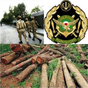 ساخت و ساز در پادگان ۰۶ همراه با قطع درختان/ قلع و قمع درختان و عملیات ساختمانی غیرقانونی از ابتدای سال۱۴۰۳ در شمال تهران/ افزایش سهم ارتش در ساخت و سازها
