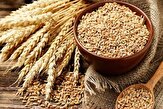 میزان پرداخت زکات در قشم ۱۱۰ درصد افزایش یافت