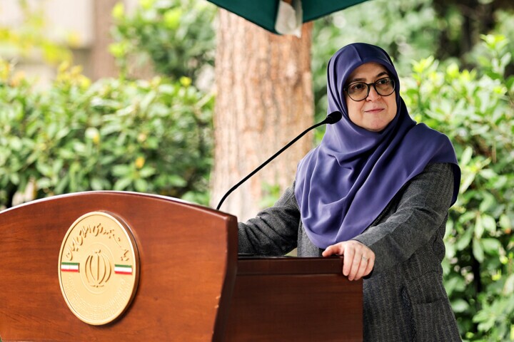 مهاجرانی: قطار تهران ـ وان، نوروز راه‌اندازی می‌شود/ ارائه گزارش دولت درمورد کرسنت